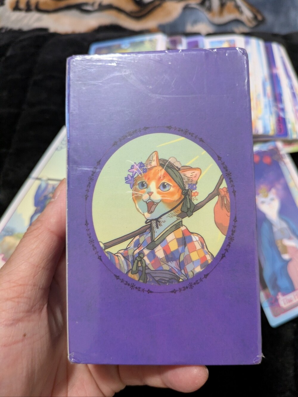 Cat Illustration Tarot Deck in Purple Box